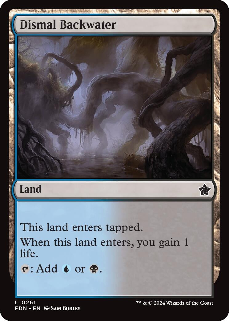 Image for Dismal Backwater