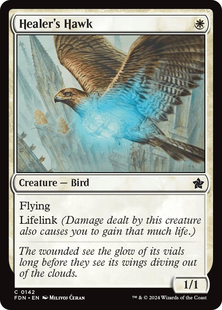 Image for Healer's Hawk