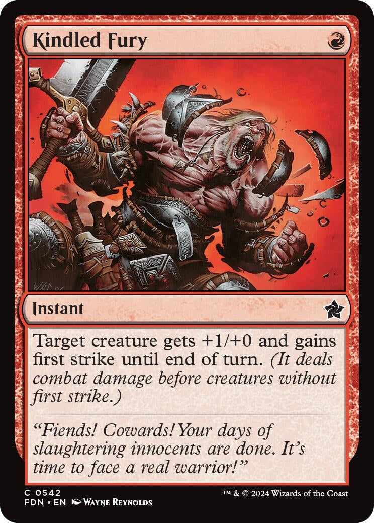 Image for Kindled Fury