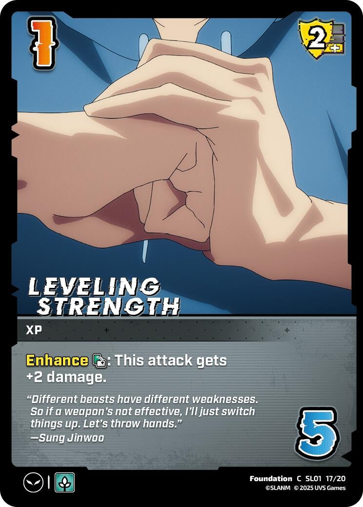 Image for Leveling Strength (SL01 17/20) (SLO)