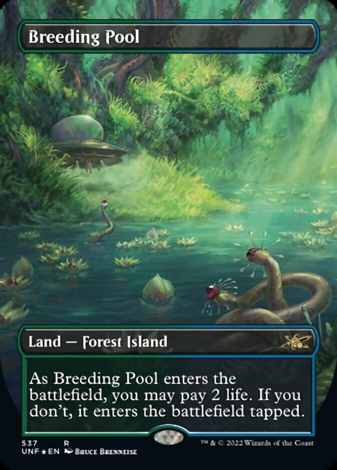 Breeding Pool (Borderless) (Galaxy Foil) [Unfinity] | Red Riot Games CA