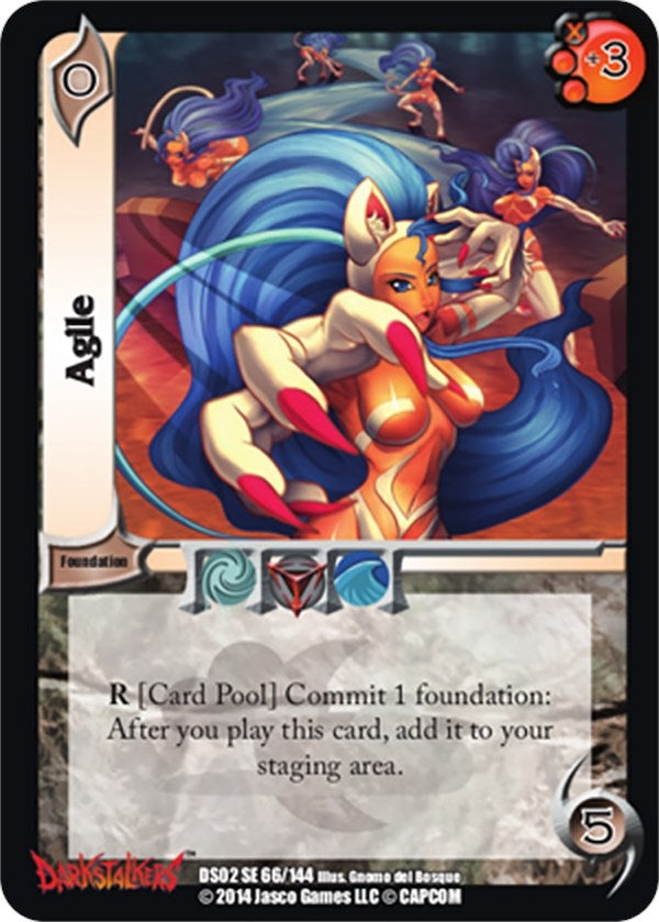 Image for Agile (66) [DS02]