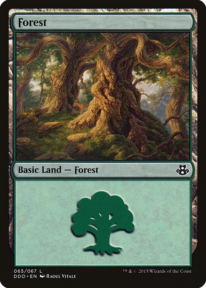 Forest (65) [Duel Decks: Elspeth vs. Kiora] | Red Riot Games CA