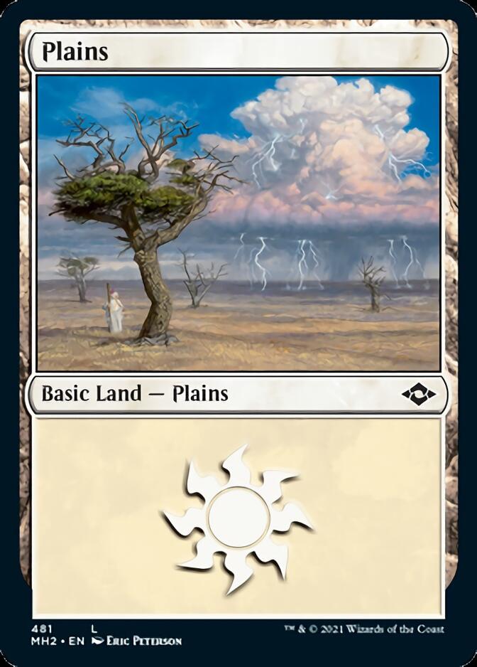 Plains (481) (Foil Etched) [Modern Horizons 2] | Red Riot Games CA