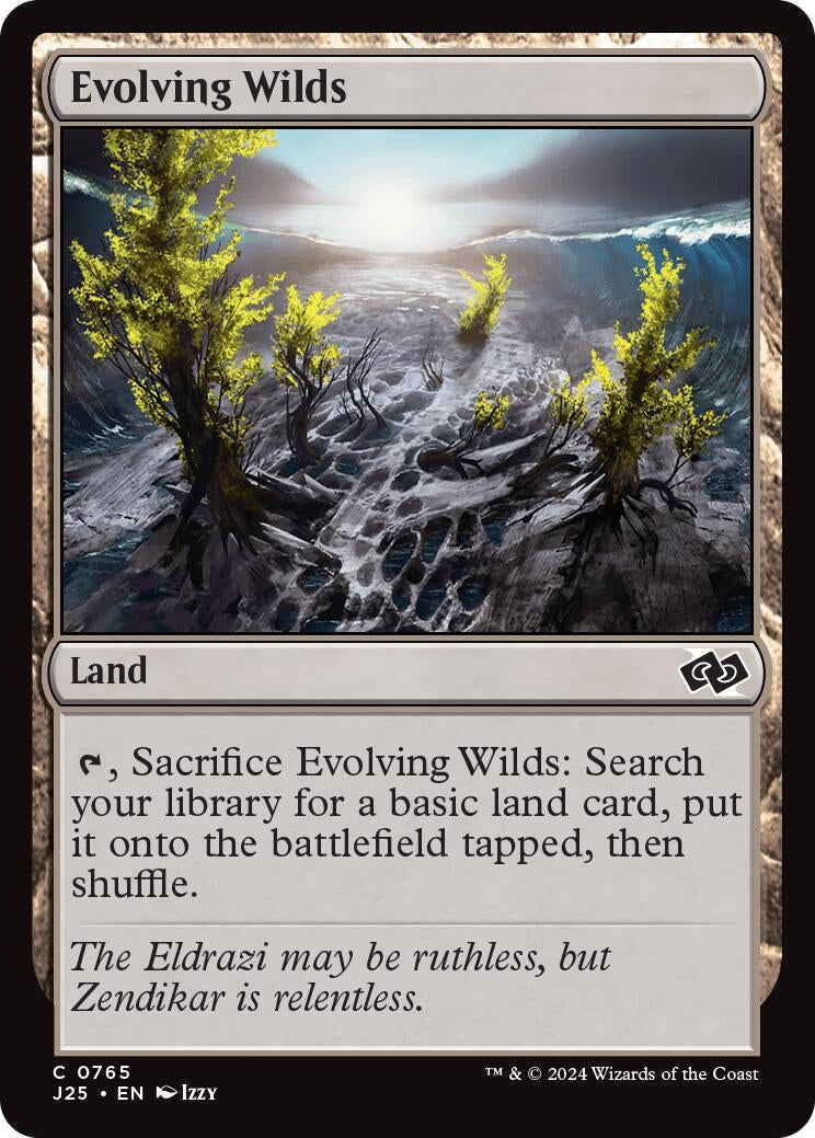 Image for Evolving Wilds (765) [J25]