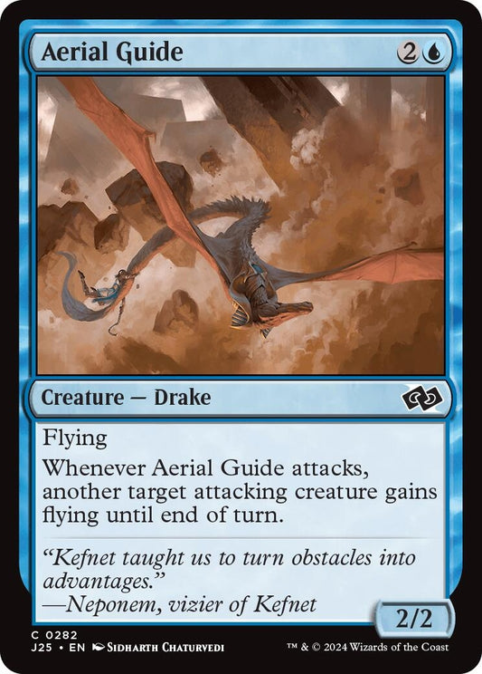 Image for Aerial Guide (282) [J25]