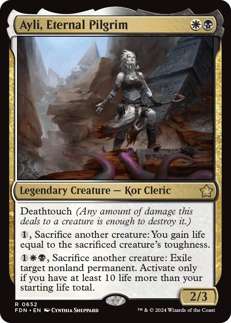 Image for Ayli, Eternal Pilgrim