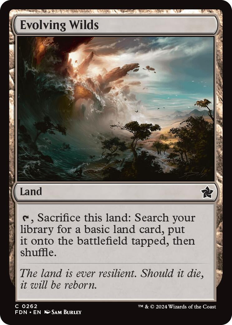 Image for Evolving Wilds