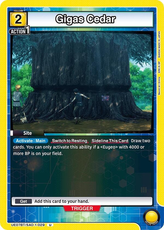 Gigas Cedar (UE07BT/SAO-1-029) (UE07BT)