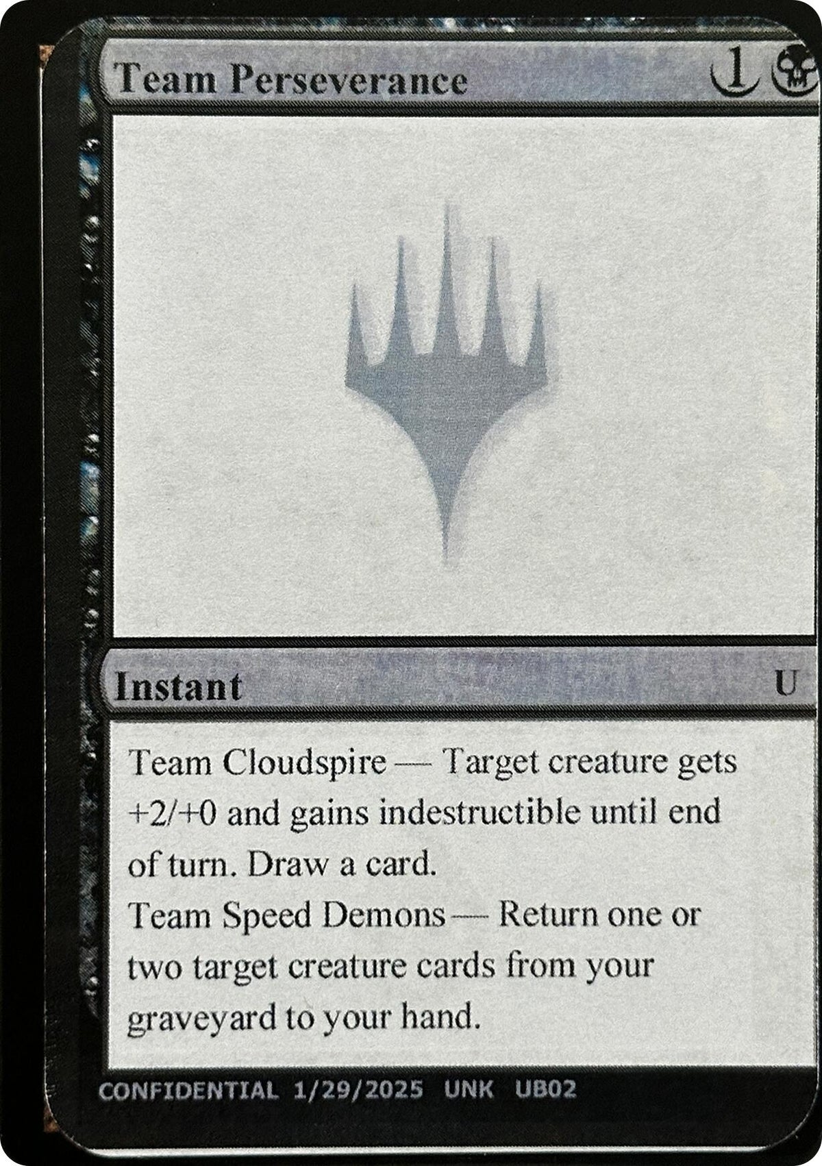 Image for Team Perseverance - Magic: The Gathering