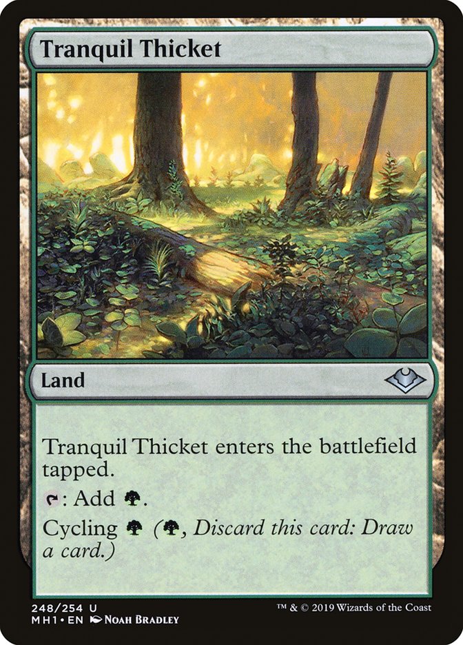 Tranquil Thicket [Modern Horizons] | Red Riot Games CA