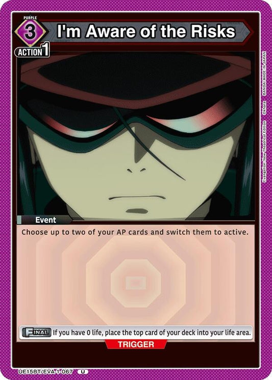Image for I'm Aware of the Risks (UE15BT/EVA-1-067) - Union Arena