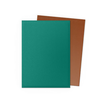 Dragon Shield Dual Matte Standard Size 100ct Sleeves
