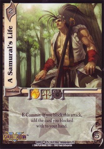 A Samurai's Life [VSNK03]