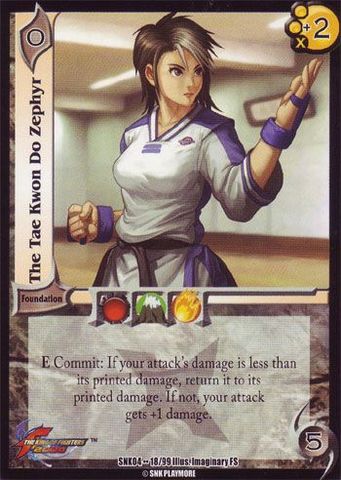 The Tae Kwon Do Zephyr [VSNK04]