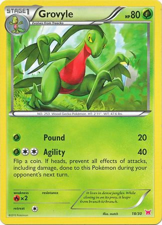 Grovyle (18/30) [XY: Trainer Kit 2 - Latias] | Red Riot Games CA