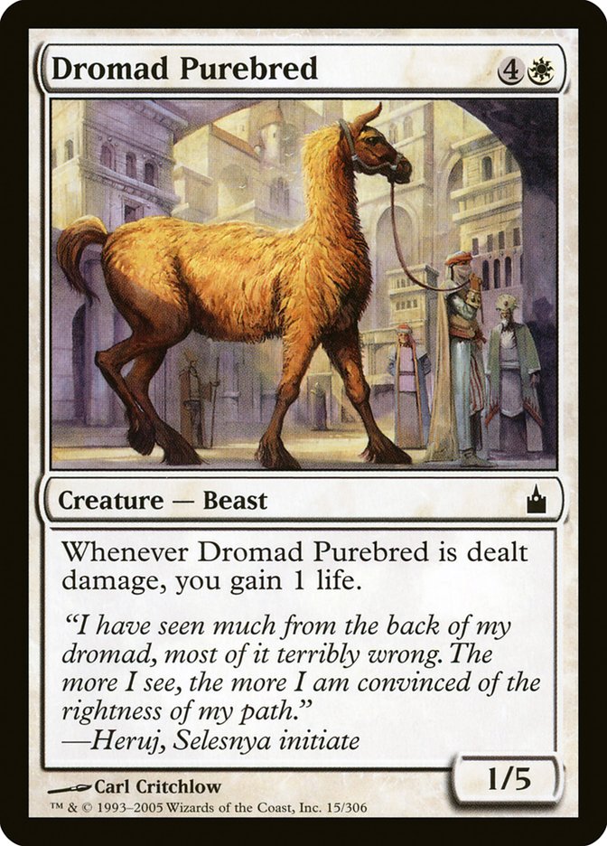 Dromad Purebred [Ravnica: City of Guilds] | Red Riot Games CA