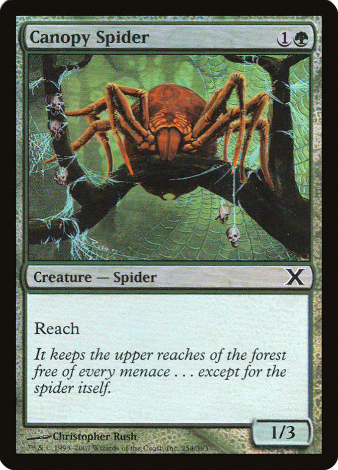 Canopy Spider (Premium Foil) [Tenth Edition] | Red Riot Games CA