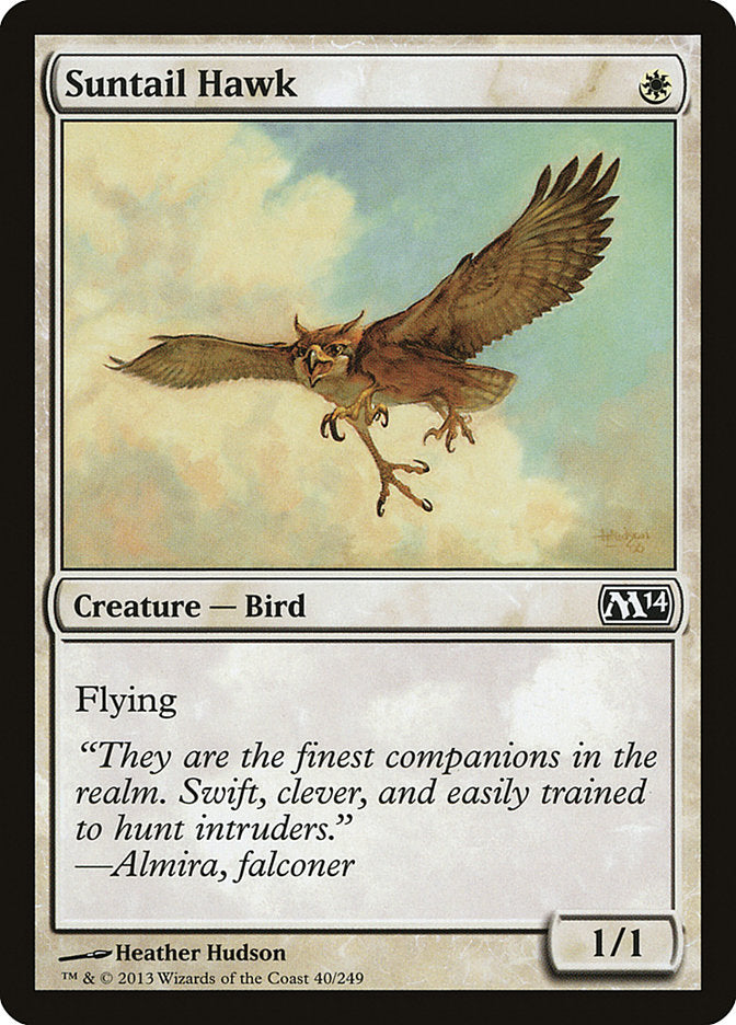 Suntail Hawk [Magic 2014] | Red Riot Games CA