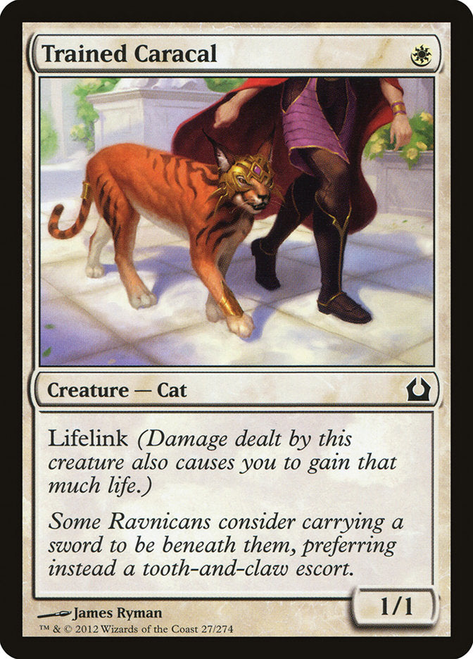Trained Caracal [Return to Ravnica] | Red Riot Games CA