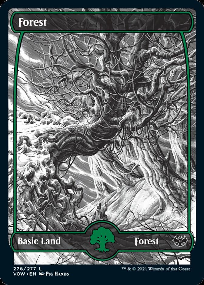 Forest (276) [Innistrad: Crimson Vow] | Red Riot Games CA