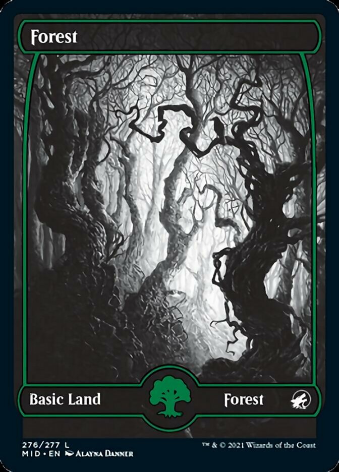Forest (276) [Innistrad: Midnight Hunt] | Red Riot Games CA