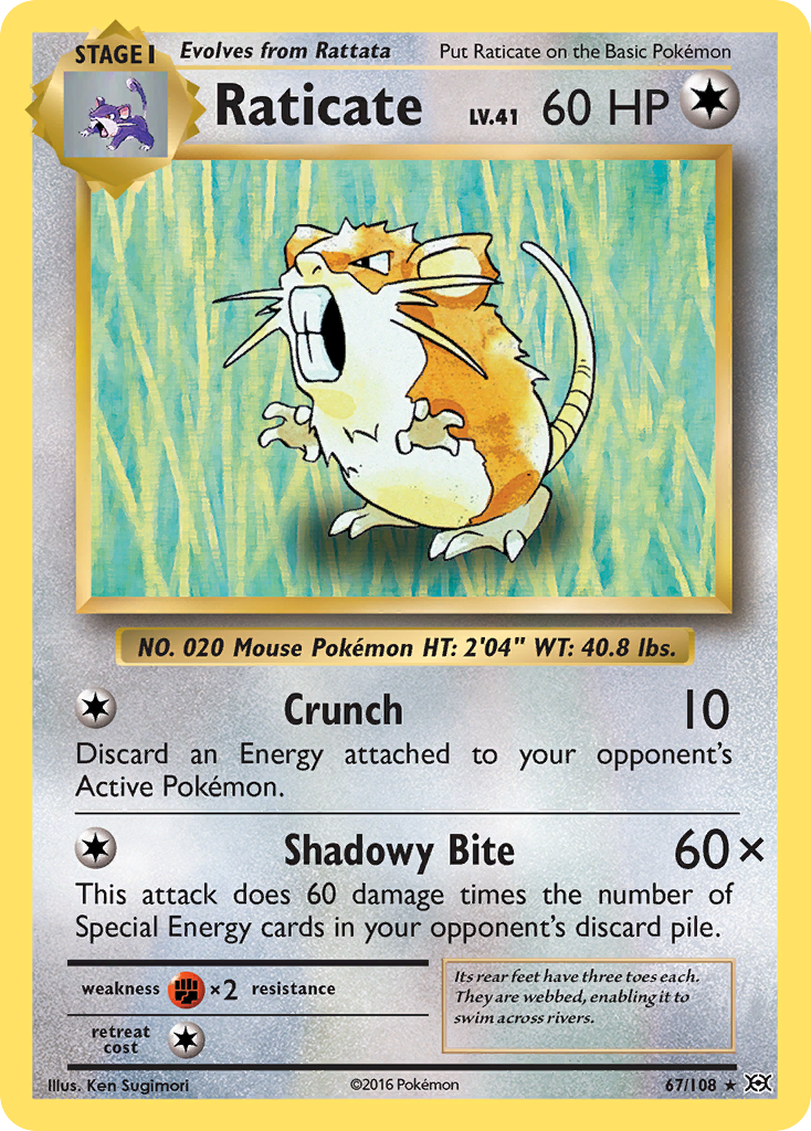 Raticate (67/108) [XY: Evolutions] | Red Riot Games CA