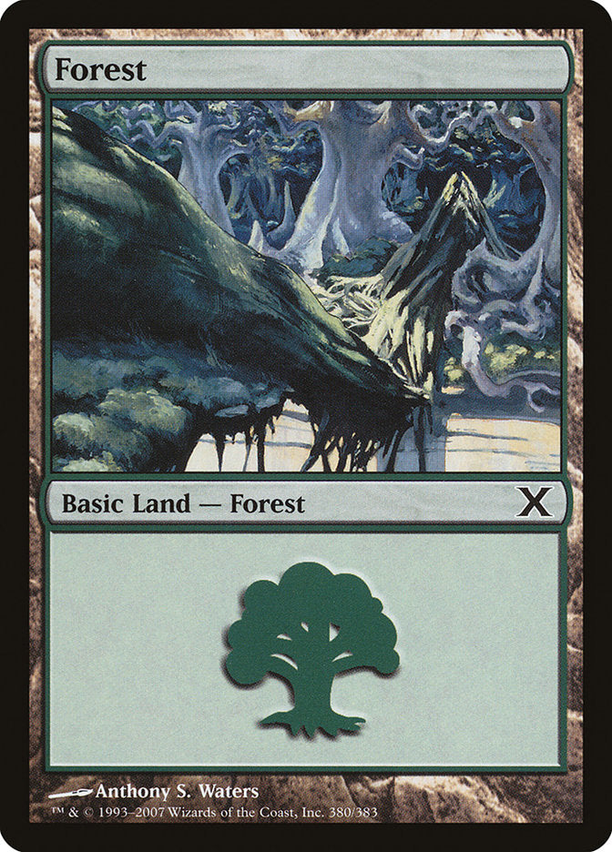 Forest (380) [Tenth Edition] | Red Riot Games CA