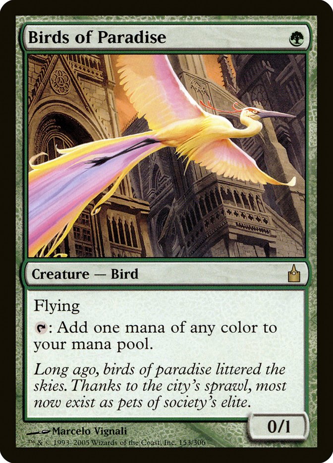 Birds of Paradise [Ravnica: City of Guilds] | Red Riot Games CA