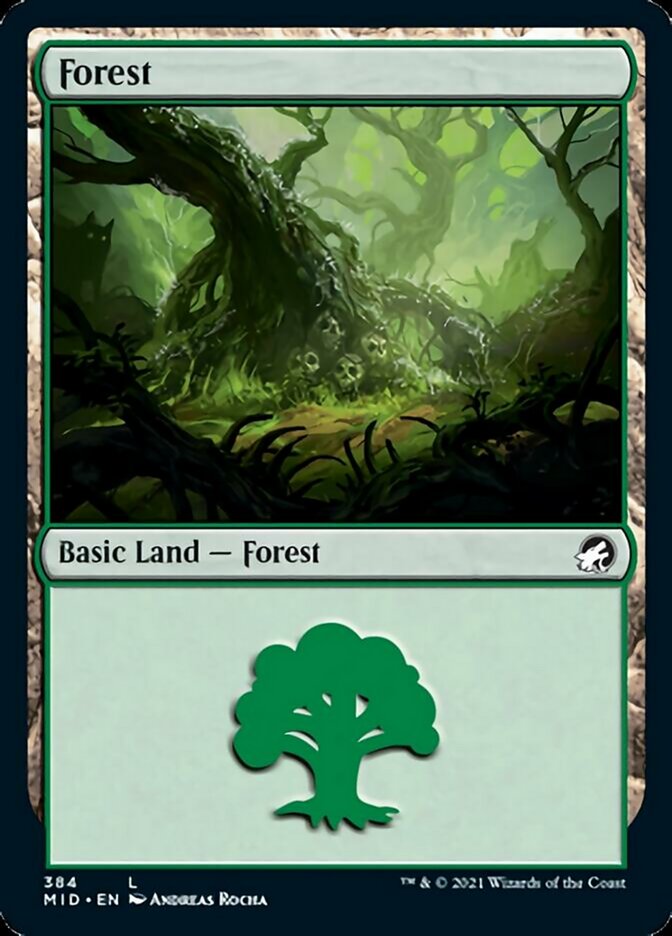 Forest (384) [Innistrad: Midnight Hunt] | Red Riot Games CA
