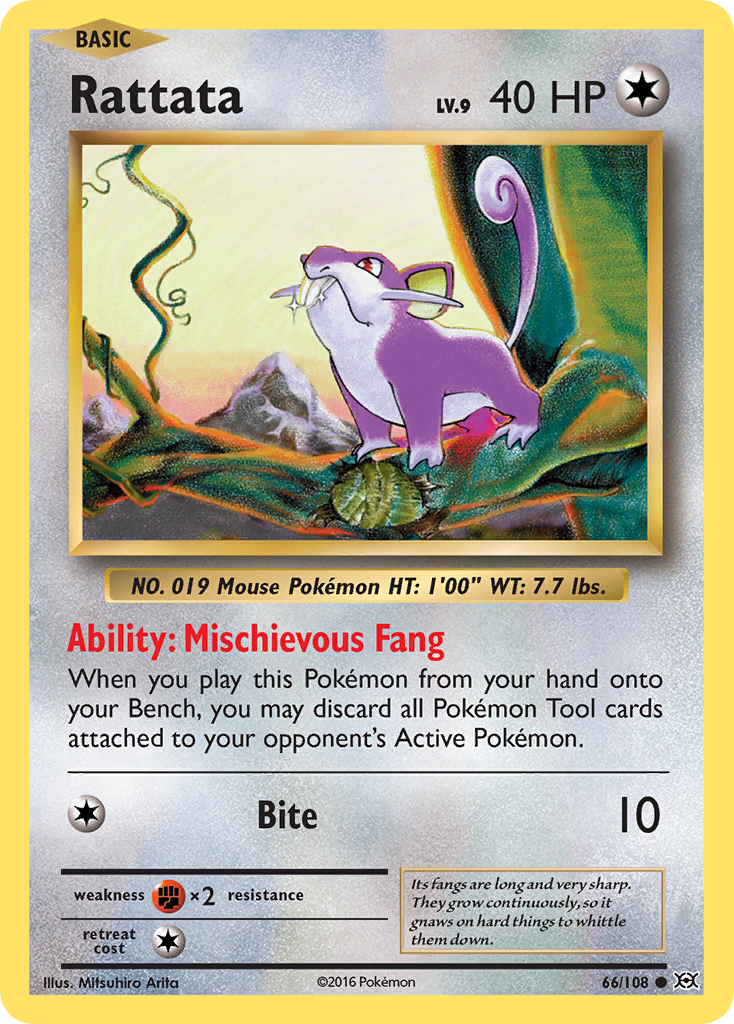 Rattata (66/108) [XY: Evolutions] | Red Riot Games CA