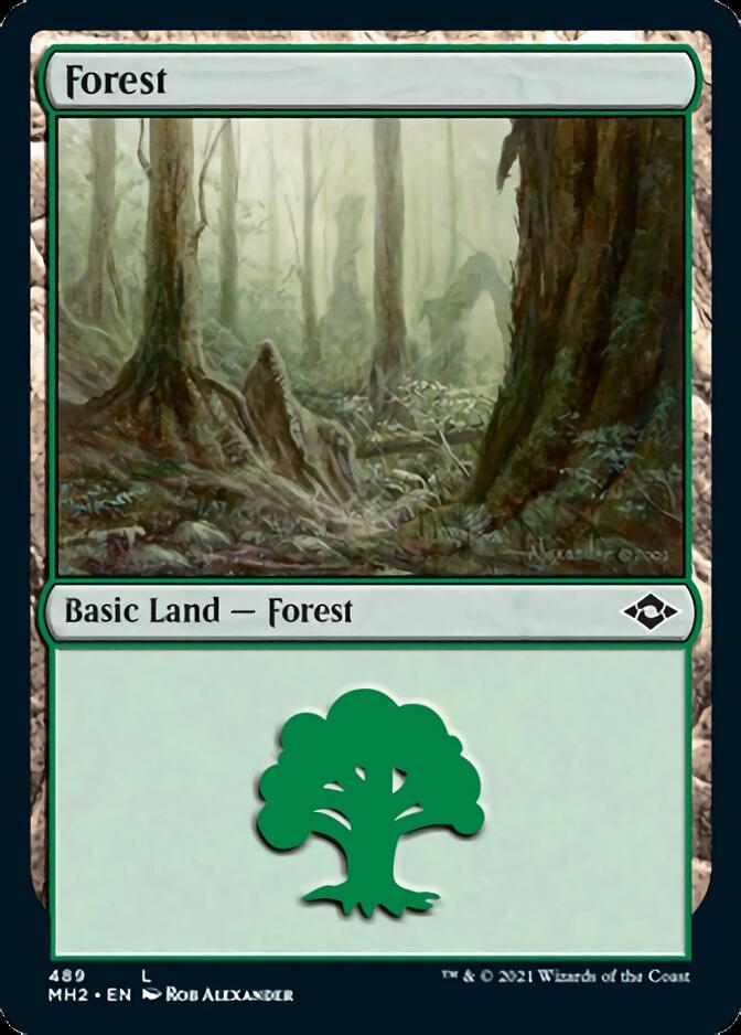 Forest (489) (Foil Etched) [Modern Horizons 2] | Red Riot Games CA