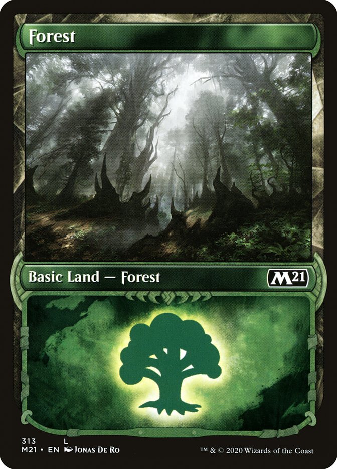 Forest (313) (Showcase) [Core Set 2021] | Red Riot Games CA